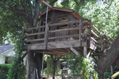 Brian & Laura Ann Ofria Home & Treehouse
