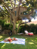 Jennifer Schlosser's Treehouse
