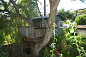 Nancy Beyda's Treehouse