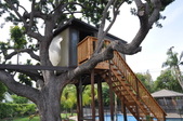 Amrir Poura's Treehouse