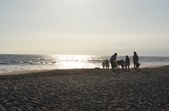 Venice Beach 7PM