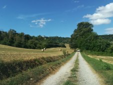 Enlarge photo 1