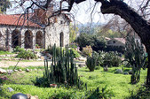Enlarge photo 7
