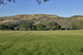 Big West Meadow