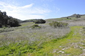 Thomas Riley Park