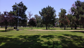 Park Area with Trees