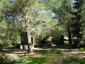 Enlarge photo 1