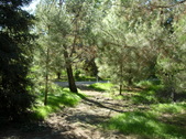 Enlarge photo 13