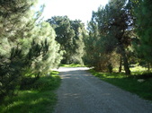 Enlarge photo 18