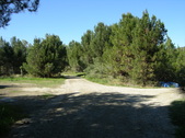 Enlarge photo 19