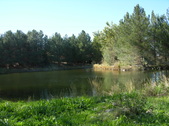 Enlarge photo 23