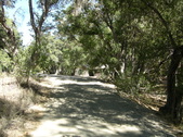 Enlarge photo 18