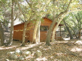 Enlarge photo 19