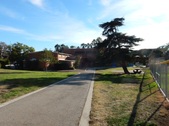 Enlarge photo 16
