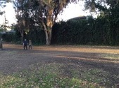 Enlarge photo 15