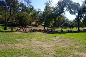 Picnic Area #9