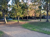 Enlarge photo 19