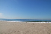 Enlarge photo 1