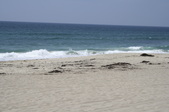 Torrance Beach