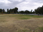 Enlarge photo 18