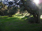 Enlarge photo 1