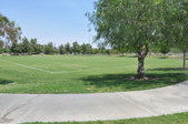 Santa Clarita Central Park