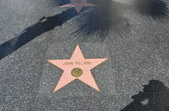 Stars on Hollywood Walk of Fame