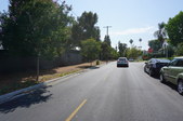 STREETS FOR BEAR CUB (OR COYOTE) SCENE