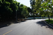 Rosewood Avenue & Cahuenga Blvd.