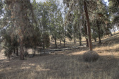 DRAGON CAPSULE CRASH SITE