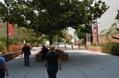 CSUN Smaller Quad Area
