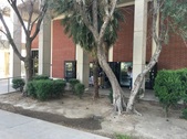 Enlarge photo 14