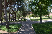Election Walk