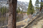Enlarge photo 14