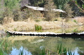 Enlarge photo 17