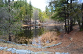 Enlarge photo 15