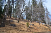 Enlarge photo 1