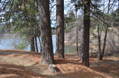 Enlarge photo 17