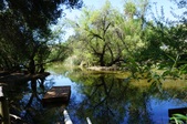 Enlarge photo 1