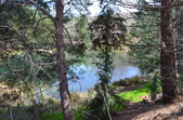 Enlarge photo 17