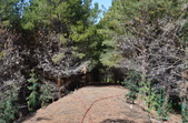 Enlarge photo 18