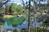 Enlarge photo 19