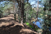 Enlarge photo 21
