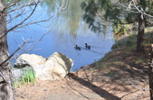 Enlarge photo 22