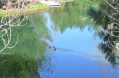 Pine Lake at Golden Oaks
