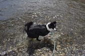 Enlarge photo 20