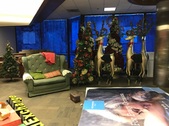Enlarge photo 16