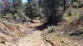 Enlarge photo 11