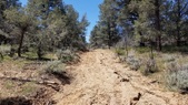 Enlarge photo 23