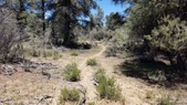 Enlarge photo 18